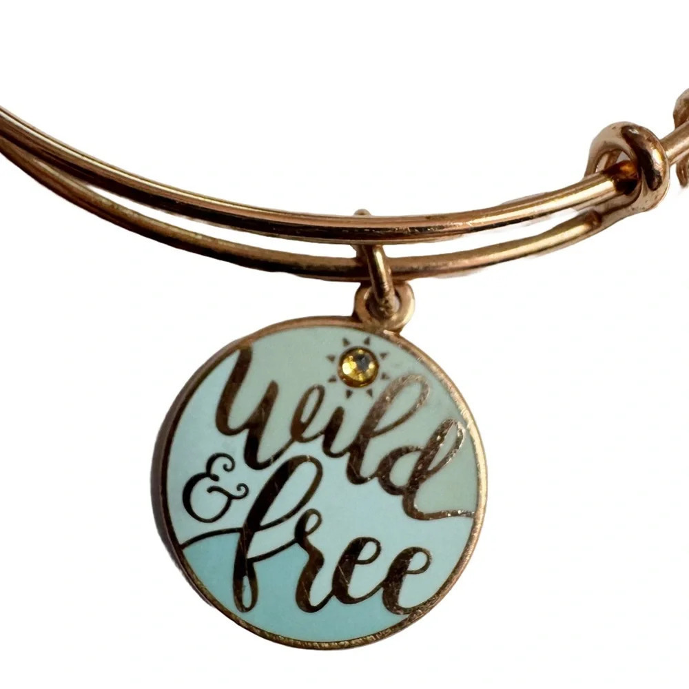Alex and Ani Wild and Free Bangle Bracelet - Picture 3 of 3
